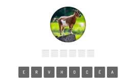 Animal Quiz img