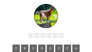 Animal Quiz Animal Quiz img