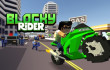 Blocky Rider img