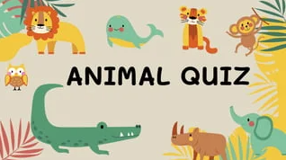 Animal Quiz screenshot